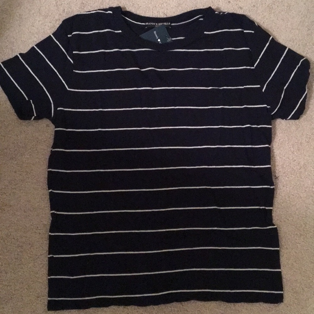 NWT BRANDY MELVILLE t-shirt